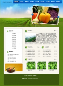 No.5019  蔬菜公司网站