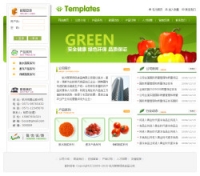 No.4038  绿色食品公司网站
