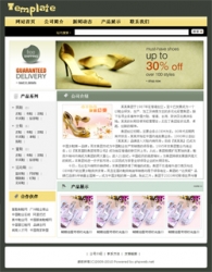 No.2008  鞋类生产企业网站