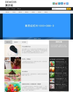 大气文章类织梦博客模板
